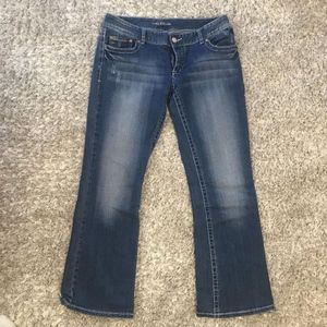 MAURICE’S DENIM JEANS - 11/12 SHORT